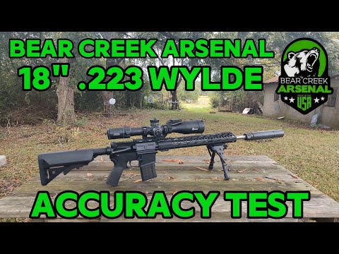 Видео: Тест точности Уайлда Bear Creek Arsenal 18" 223