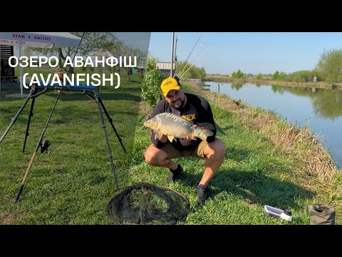 Видео: Сама уловиста снасть / Навіть дитина зможе зловити тройей / Флет фідер по простому
