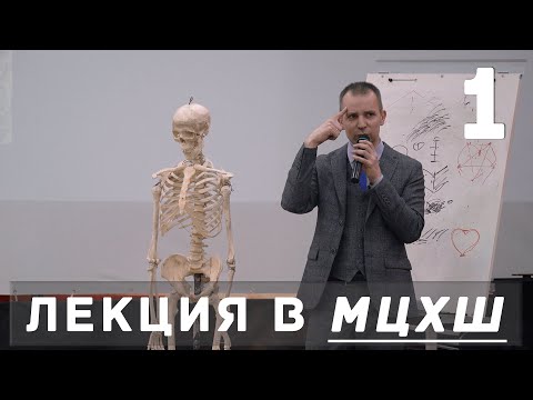 Видео: Лекция Александра Рыжкина в МЦХШ / Основные принципы рисования / Часть 1