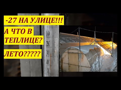 Видео: -27 НА УЛИЦЕ//ТЕМПЕРАТУРА В ТЕПЛИЦЕ//НЕМНОГО ПРО ЯГОДЫ