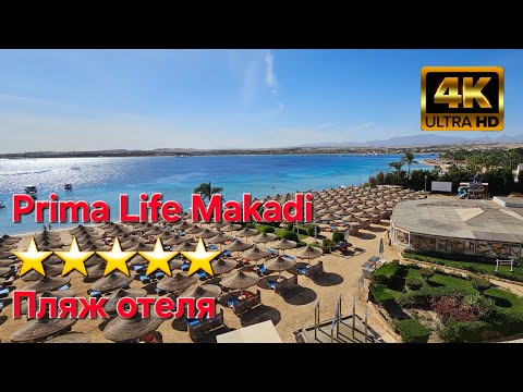 Видео: Prima Life Makadi  ⭐⭐⭐⭐⭐ Пляж отеля. Хургада