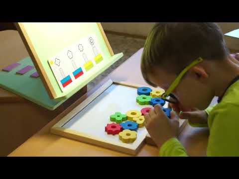 Видео: Мастер-класс по обследованию на ПМПК детей с нарушением зрения