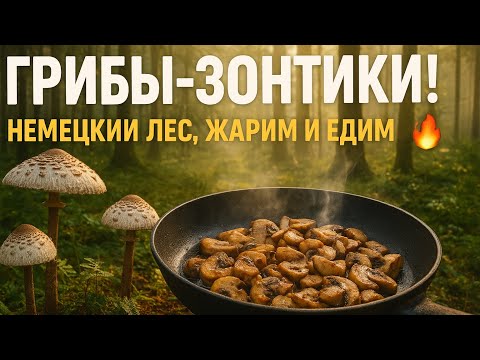Видео: ГРИБЫ В ГЕРМАНИИ! Жарим зонтики в кляре