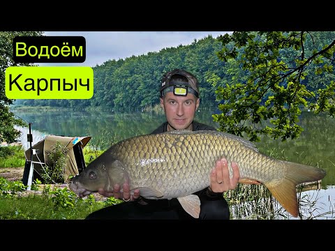 Видео: 16 РЫБ ЗА 20 часов ! 73 кг.  «Карпыч» ,Субботцы. Часть 1