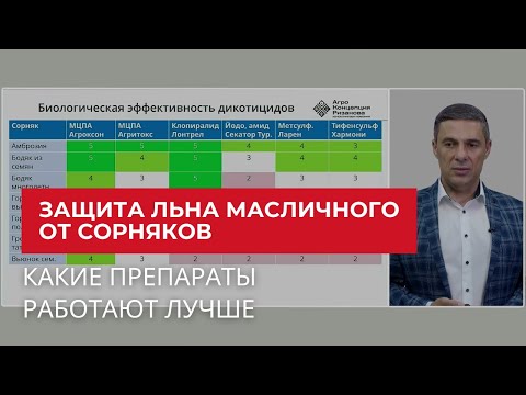 Видео: Защита льна масличного от сорняков | Агроном | Сергий Ризанов