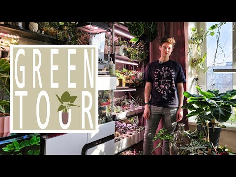 Видео: GreenTour/В гостях у Егора/Огромная коллекция редких растений.
