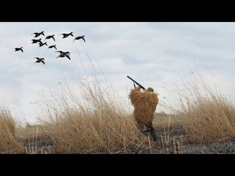 Видео: Сколько стоит стать охотником