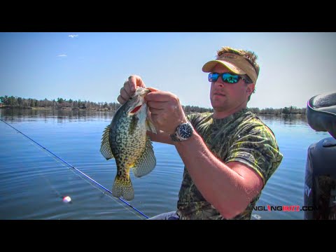 Видео: Место обитания краппи в зависимости от погоды и температуры воды