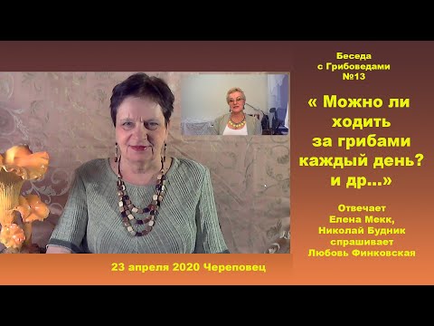 Видео: Вопросы и ответы Встреча №13