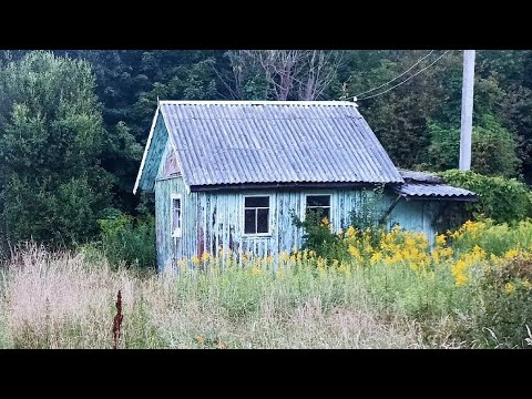 Видео: КУПИЛ ЗАБРОШЕННЫЙ УЧАСТОК В ЛЕСУ (1)