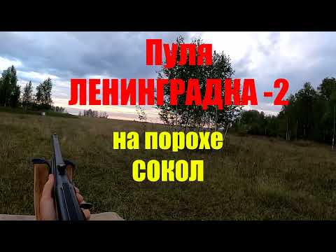 Видео: Пуля ЛЕНИНГРАДКА- 2. Эксперименты продолжаются.