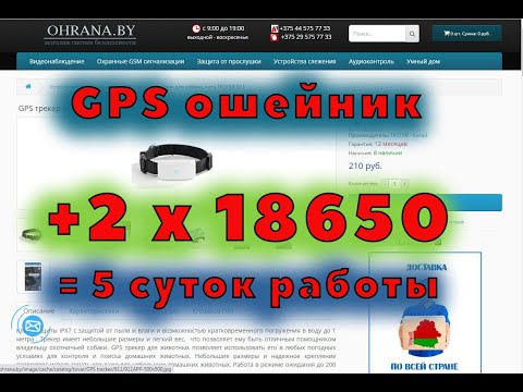 Видео: GPS ошейник козам с аккумулятором на 5 суток!