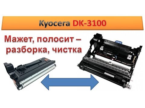 Видео: #63 Чистка Kyocera DK-3100 / DV-3100  | РАЗБОРКА - ВОССТАНОВЛЕНИЕ | Как разобрать