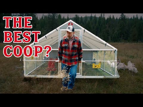 Видео: Может ли это быть ЛУЧШИМ переносным курятником? (Наш честный обзор)