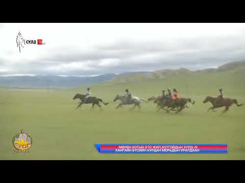 Видео: 2019 оны Хөвсгөл Мөрөн хот Хотгойдын хурд 4 хангайн бүс Их нас