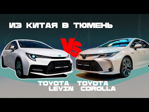 Видео: Из Китая в Тюмень: Сравнение Toyota Corolla и Toyota Levin