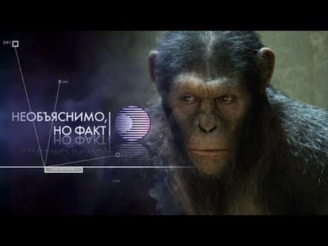 Видео: НЕОБЪЯСНИМО НО ФАКТ: ПОДВОРОТЫ