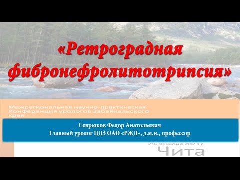 Видео: #2 Ретроградная фибронефролитотрипсия.  Забайкальская урологическая школа 2023.