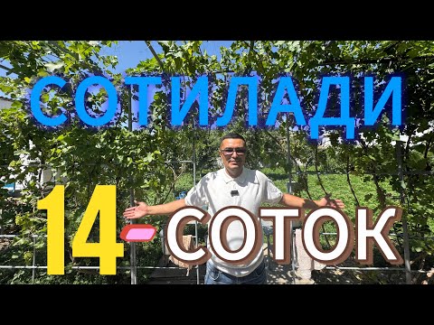 Видео: ЖУДА ГУЗАЛ АРЗОН 14-СОТОКЛИ УЙ-ЖОЙ БОГЛАРИ БИЛАН ТЕЗДА СОТИЛАДИ.