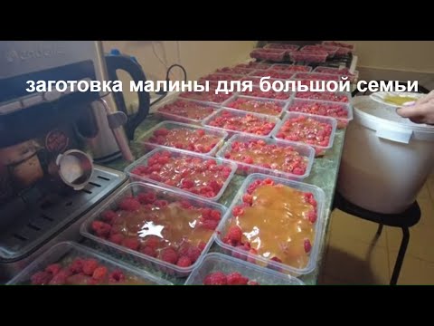 Видео: Воскресенье. Заготовка малины для большой семьи. Вся семья занята делом.