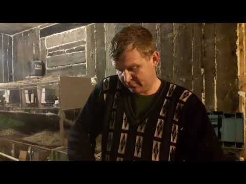 Видео: Ниппельное поение