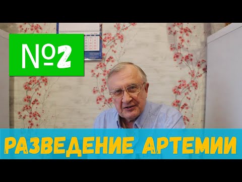 Видео: #2 Разведение артемии / Аквариумистика с Геннадием Посейдонычем