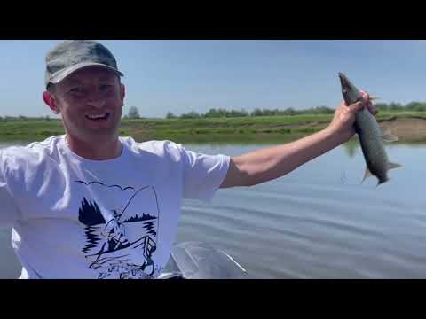 Видео: Сплав с любимой по реке Юрюзань в +32!!! Щука, окунь, голавль.