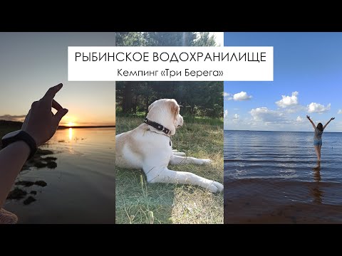 Видео: На Рыбинском водохранилище в палатке с детьми и собакой/Три берега/Влог