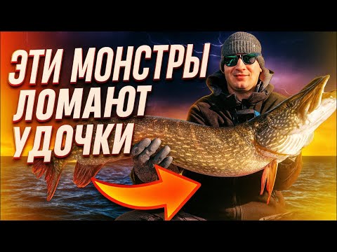Видео: КАЖДЫЙ заброс в ЭТУ ТОЧКУ УВЕЛИЧИВАЕТ размер ЩУКИ / ХЛЕБНУЛИ ВОДЫ в ВОЛНЕ