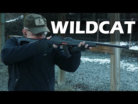 Видео: Обзор Winchester Wildcat 22LR