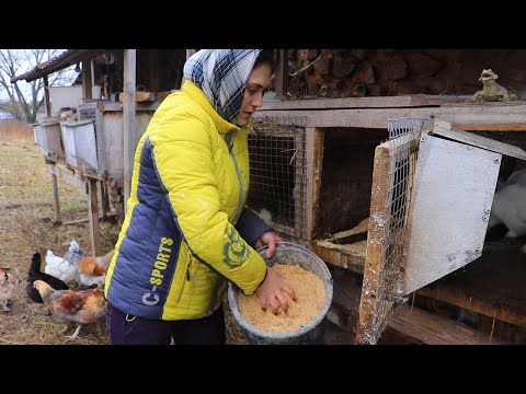 Видео: Усердная деревенская работа и пельмени с баклажанами.