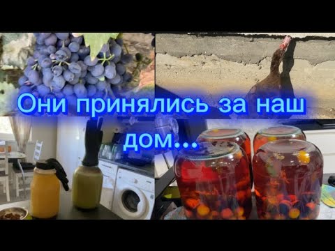 Видео: 1808❤️Голосование в усадьбе продолжается/ Напали на дом/ В планах не было, а пришлось