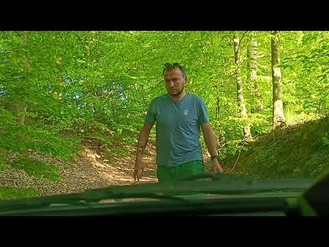 Видео: Заблудился в лесу! Серия путешествия по Польше #3