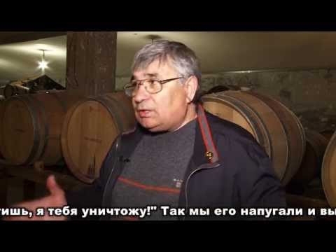 Видео: Эльпида+ (Полис Горгиппия и п.Витязево(Часть 1)