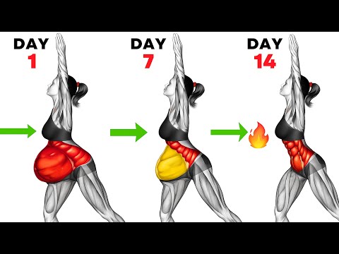 Видео: 20-минутная тренировка стоя для сжигания жира на животе | Упражнения без прыжков для тонкой талии...