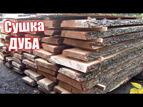 Видео: Сушка ДУБА, как дед учил