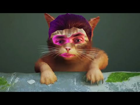 Видео: ХЕСУС СТАЛ КИБЕР-КОТИКОМ | Stray