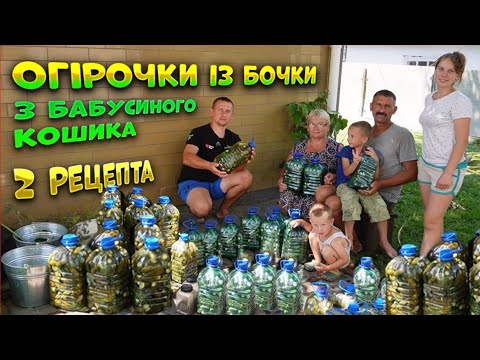 Видео: 🇺🇦Бізнес на огірках🥒 Домашня технологія вирощування! Найкращий і простий рецепт засоювання