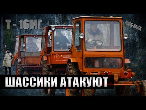 Видео: Шассики атакуют т-16мг / + бонус в конце/ Иван Зенкевич