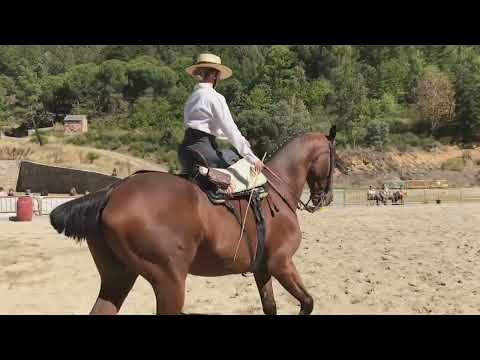 Видео: Амазонка
