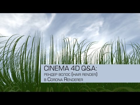 Видео: Cinema 4D / Q&A / Как отрендерить волосы в Corona Renderer?