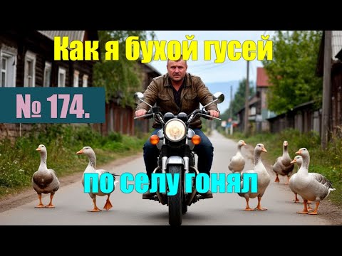 Видео: № 174. Нарвались на бухой перехват. Гоняю гусей по селу.#антимошенники #разводилы