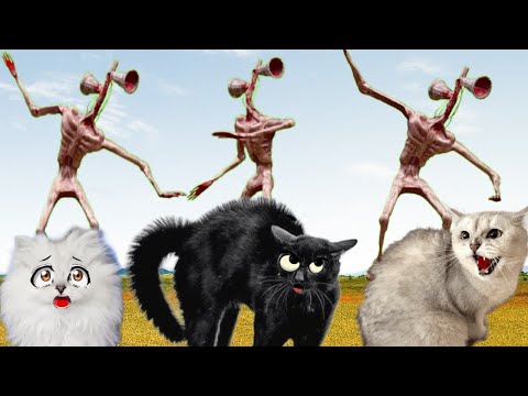 Видео: ВАУ!!! СИРЕНОГОЛОВЫЕ??? Началась Охота на КОШЕК!!! Кошки Идут в АТАКУ!!!  За Кого Болеешь ТЫ?!