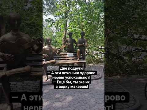 Видео: Успокоительные печеньки #анекдоты #юмор #смешнойшортс #прикол  #peterbalds #cat #шуточное #смех