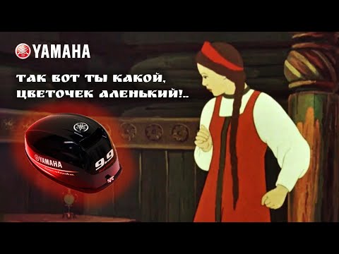 Видео: Yamaha F9,9 который раздушивается в F20, вот он какой!