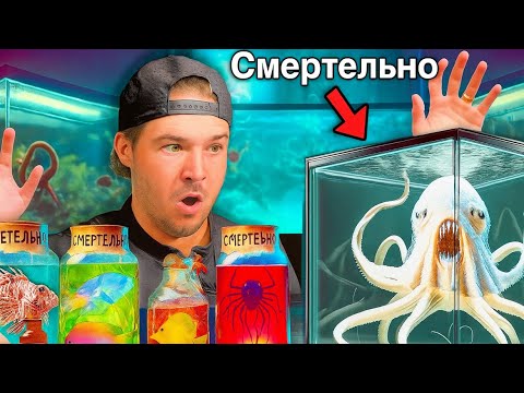 Видео: Я Купил Загадочную Рыбу Для Самого Странного Морского Существа В Мире...