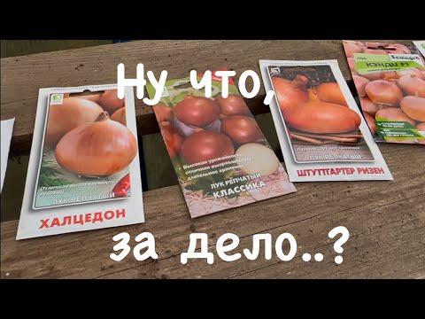 Видео: 138. Не откладываю на завтра то, что можно сделать сегодня.