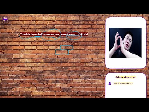 Видео: 1-ЦИТ.  §1 Жасуша