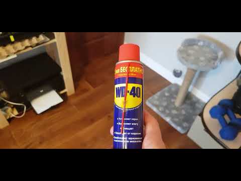 Видео: Как отучить щенка грызть | Догтренинг щенка | Амстафф Рокки | Щенок стаффордшиского терьера