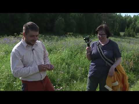 Видео: Заброшенное село Порья Губа. Часть 1